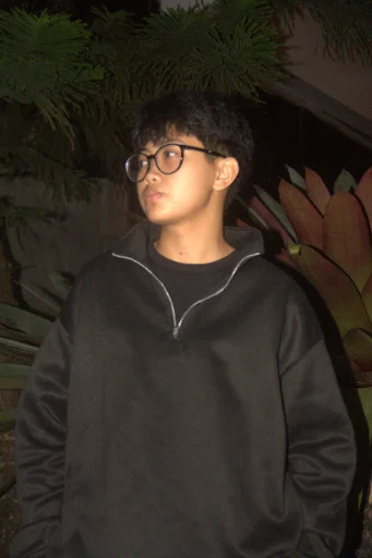JAVE DIMAPILIS